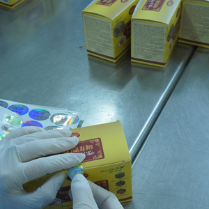 Bolsa de té 100% natural Panax Notoginseng Celastrus Hindsii Cordyceps Militaris al por mayor a precio competitivo de fábrica - Product Image 6