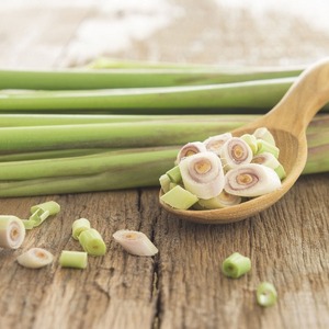 Tiges de citronnelle congelées de qualité supérieure au meilleur prix pour la vente en gros de citronnelle du Vietnam - Product Image 5