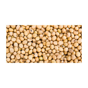 Wholesale High Grade Good Quality Yellow <b>Soybean</b> For Food Exporting - Product Image 5