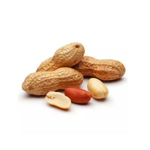 Vente en gros d'arachides approvisionnement en vrac prix abordable frais de haute qualité - Product Image 1