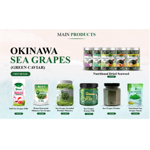 Algas marinas nutricionales de Vietnam 100g Zip Pack OEM Precio al por mayor Okinawa Uvas marinas deshidratadas Snack saludable Alimentos frescos - Product Image 2