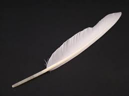 Plumas de plumón de pato naturales blancas con patrón teñido de alta calidad lavadas crudas para manualidades y accesorios de ropa - Product Image 6