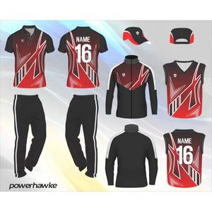 Conjunto completo de uniforme de cricket de ropa deportiva de primera calidad con nombre de equipo personalizado, color y logotipo - Product Image 2
