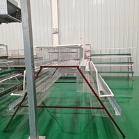 Système de cages commerciales pour poulets pondeuses avec équipement d'alimentation automatique pour élevages avicoles