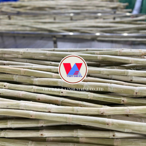 PIÈCES DE CANNE À SUCRE CONGELÉE | PUISSANCE DE PLANTES CRUTES | SUPPORT IMMUNITAIRE - Product Image 4