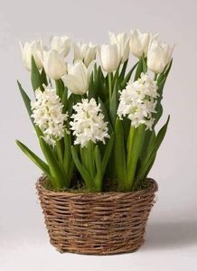 กระถางและกระถางหวายอัจฉริยะสำหรับตกแต่งสวนพร้อมขาตั้งเหล็กขาตั้งสีดำขนาดใหญ่ - Product Image 6