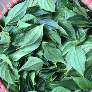 ใบพลู-การเกษตรคุณภาพสูงจากเวียดนาม - Product Image 2