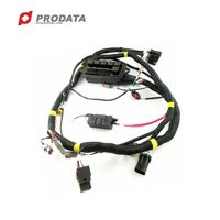 Câble blindé personnalisé Accessoires automobiles Faisceau de câbles mâle femelle PVC Noir 3000W Kit de conversion de vélo électrique