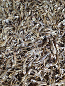 ปลากะตักแบบแห้งธรรมชาติสำหรับ B2B - Product Image 4