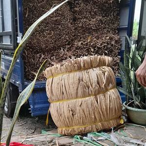Raw Material Bulk Supply Dried Water Hyacinth <b>Bales</b> for Basket Weaving Natural Dry <b>Straw</b> <b>Bale</b> From Vietnam - Product Image 2
