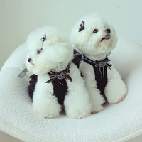 Robe d'été populaire pour chien, vêtements pour chien, collier et accessoires pour chat, cape pour animal de compagnie en polyester, design coréen