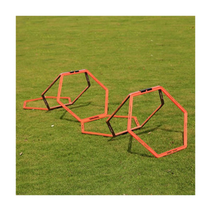 ความคล่องตัวหกเหลี่ยมความเร็วความคล่องตัวบันได500X500ที่มีอยู่ในราคาที่ดี - Product Image 2