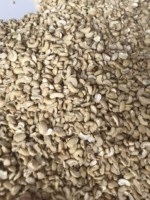 Muestras gratis/nueces de anacardo crudas Kaju secas de fábrica vietnamita WW240 WW320 WW450 pistacho y piñones para uso alimentario-ANNA DO