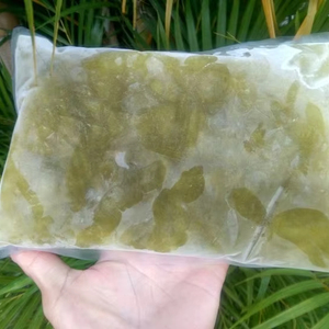 Botella de embalaje de jugo de caña de azúcar congelado orgánico o bolsa de 1 kg para ventas al por mayor o fabricación a calidad superior y precio más barato - Product Image 6