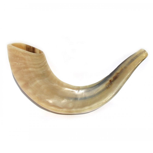 Kosher Shofar Natural Ram Horn Sheep Pulido Estilo náutico para la decoración del hogar y fines religiosos para soplar - Product Image 2