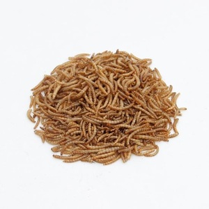 Alimento de Proteína Animal de Alta Calidad, Gusanos de Maíz Secos, Bocadillos para Mascotas, Comida para Aves Silvestres - Product Image 5