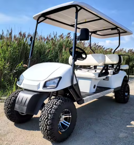 OFERTA ESPECIAL: Carro de Golf Eléctrico WILDCAT de 6 Pasajeros, 48V, Tipo Limo LSV, Vehículo de Baja Velocidad, Aluminio, Acero, Plástico, 3 Años de Garantía - Product Image 1