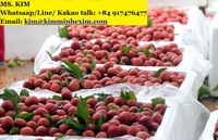 Kme Verkoper Goede Kwaliteit Vers Zoet Lychee Fruit Tegen Goedkope Prijs Vietnam 5-10Kg Karton