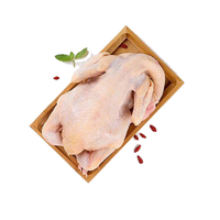 Poulet entier Halal congelé de haute qualité avec de la graisse Produit à prix compétitif