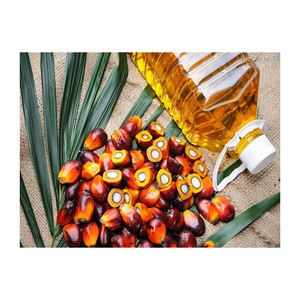 เมล็ดปาล์มสดและอุดมด้วยสารอาหาร - Product Image 2