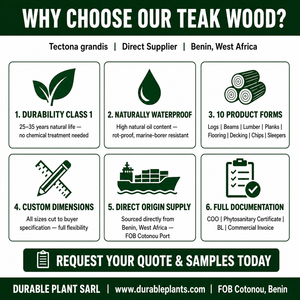 Premium Teak Wood Round <b>Logs</b> Tectona Grandis Natural Hardwood Bulk Export West Africa FOB - Product Image 4