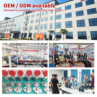 Hot Selling Ethanol Resin Paint Lubricating Vegetable Oil Compact Micro Elliptical Gear Flowmeter for Various Liquid