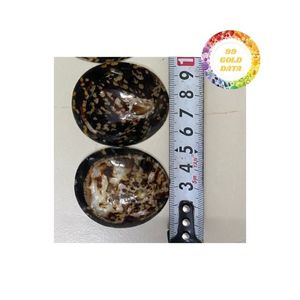 เปลือกหอยธรรมชาติสำหรับตกแต่งและงานฝีมือมีจำหน่ายในเวียดนามผู้จำหน่ายในราคาไม่แพง - Product Image 2