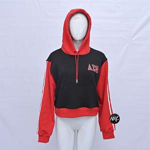 100% polyester à capuche brodé vêtements de travail graphique à capuche côtelé imprimé dos couleur bloc conception pour les femmes d'hiver - Product Image 1