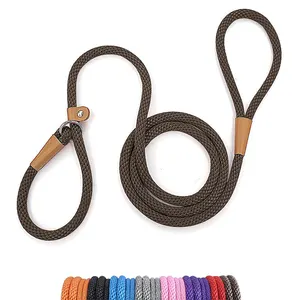 Ccustom colorful Pet Accessories Reflective Nylon Dog Leash Woven Pet Traction Rope slip lead dog leash