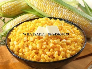 เมล็ดข้าวโพดแช่แข็ง IQF ฉลากสะอาดเกรดอาหารเกรดพรีเมี่ยมหวานฉ่ำและเป็นธรรมชาติ100% ส่งออก - Product Image 5