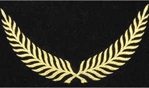 Bordado a mano Hoja de Palma Bordado Peaks Peak Sombreros Premium Calidad Oro Bordado Sombrero - Product Image 2