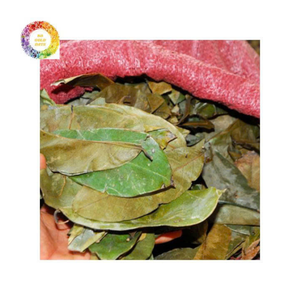 Guanábana seca de alta calidad/hojas de Graviola de Vietnam, venta al por mayor, ingrediente de té con sabor a precio barato - Product Image 5