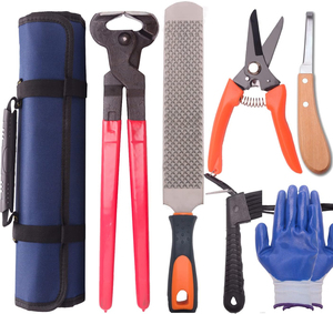 Kit d'outils pour sabots de cheval réutilisable de 7 pièces, couteau à sabots, râpe, pince, etc. Ensemble d'instruments vétérinaires équins professionnels - Product Image 1