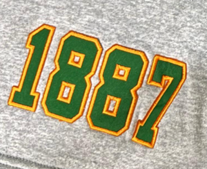 Ropa deportiva de equipo sublimada camiseta de béisbol personalizada FAMU Rattlers - Product Image 5