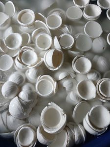 Rodajas de Carne de Coco Congelada envasadas para Distribuidores, Mayoristas, Marcas Minoristas y Empresas de Bebidas - Product Image 3