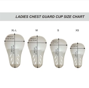 Female Breast Protective Boxing Training Wrestling Chest Guard Hot Selling Ladies Chest Guard With Plastic <b>CUP</b> Unisex Sports <b>Bra</b> - Product Image 6