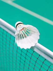 Paquete de 6 Volantes de Bádminton de Plumas de Ganso de Alta Calidad, Ecológicos, Duraderos para Deportes en Interiores, con Empaque - Product Image 3