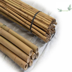Meilleure vente 2025 poteau en bambou brut pour la construction/poteau en bambou naturel Vietnam pour une utilisation dans l'agriculture, la construction - Product Image 1