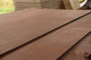 Vente en gros Vietnam de contreplaqué commercial de première classe 15-17 18mm face Bintangor E2 pour meubles modernes - Product Image 5