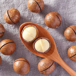 Nueces de Macadamia de grado A de gran tamaño, baja humedad - Product Image 3