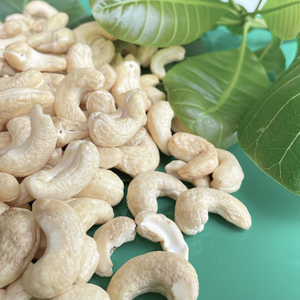 Fournisseur de confiance Noix de cajou par kg Noix de cajou Vietnam Noix de cajou de Santigo Vietnam - Product Image 1