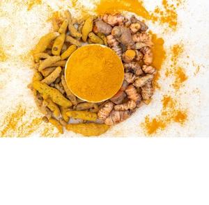 Extrait de Curcuma Longa 95% de Curcumine |   Exportation en gros Inde - Product Image 2