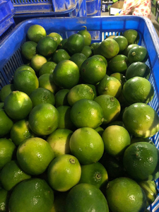 Limón sin semillas con buena calidad Producto agrícola Limón sin semillas de Holiday - Product Image 3