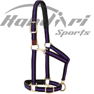 Vente en gros de licou en cuir d'équitation avec logo personnalisé 2024 avec tailles solides - Product Image 4