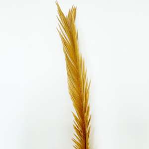 Flores Secas Sikas - Product Image 2