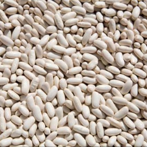 Gros haricots blancs à vendre - Product Image 1