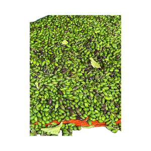 Producto de agricultura Himej negro de Mother of Herb - Product Image 3