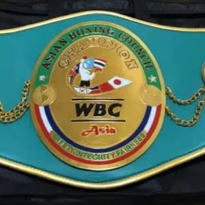 Cinturones de campeonato de boxeo Trofeos Medallas y premios el símbolo definitivo de la victoria y la excelencia Cinturones de Campeonato - Product Image 6