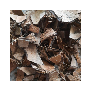 Cáscara de Coco Cruda de Vietnam de Primera Calidad, Material Seleccionado y Limpio para Artesanos y Fabricantes de Carbón Vegetal, Listo para Exportar - Product Image 1