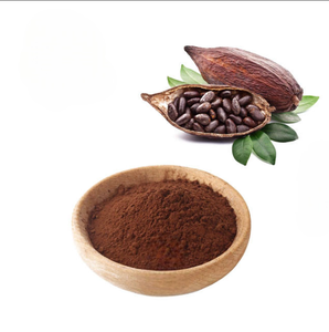 Poudre de cacao de qualité alimentaire supérieure, prix d'usine, approvisionnement en vrac, fabricant OEM - Product Image 4